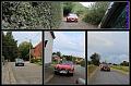 Follow the Leader  (233)